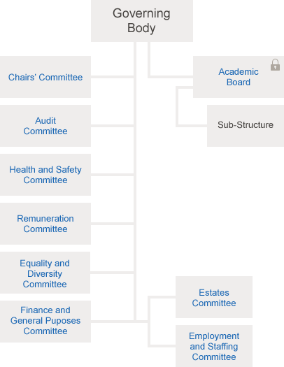 Governing Body structure