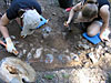Excavation in action