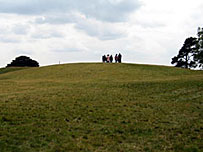 Hillside