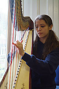 Harp player