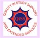 QiSS Generic Logo