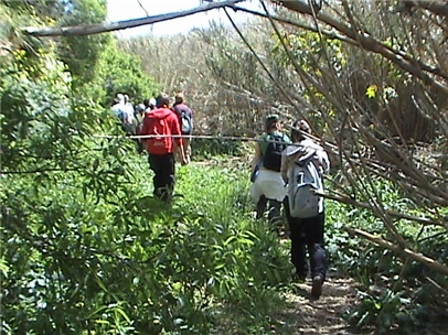 Chadwick Lakes