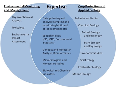 Diagram showing areas of expertise within the group.