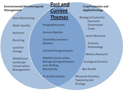 Diagram listing past and present research themes.