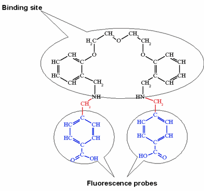 Fluorescence Chemosensors