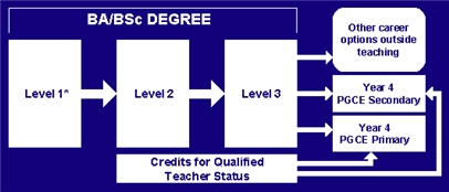 PGCE route