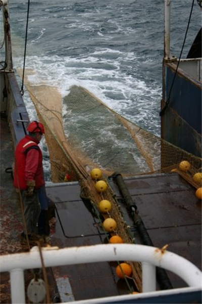 Trawl being pulled out of the water.