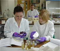 lab