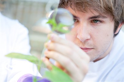 Student examining plants