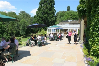 Terrace at Salomons