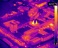 University reduces environmental impact