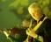 Prog-rock legends host weekend of celebrations