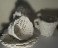 Fine art degree show illustrates life with dementia 