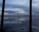 Sidney Cooper hosts new video art exhibition by Suki Chan