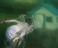 'From Grimm to Reality' for new Sidney Cooper Gallery exhibition

