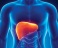 Launch of new framework to help treat patients with liver disease