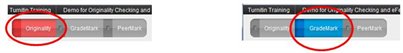 Turnitin 2