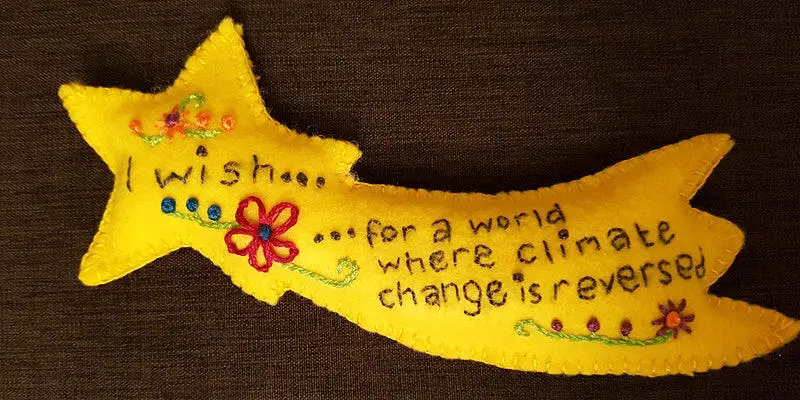 Handmade shooting star saying 'I wish... For a world where climate change is reversed'
