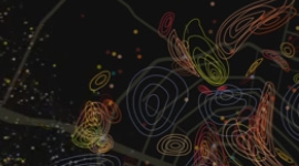 Sensory Maps