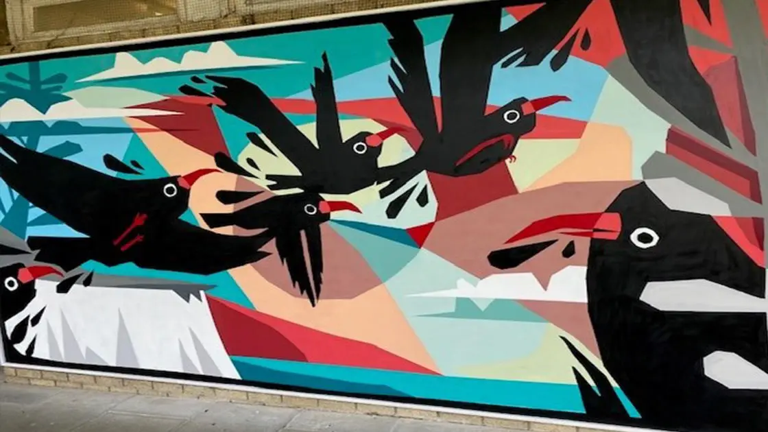 The red-billed chough mural on the North Holmes Road campus