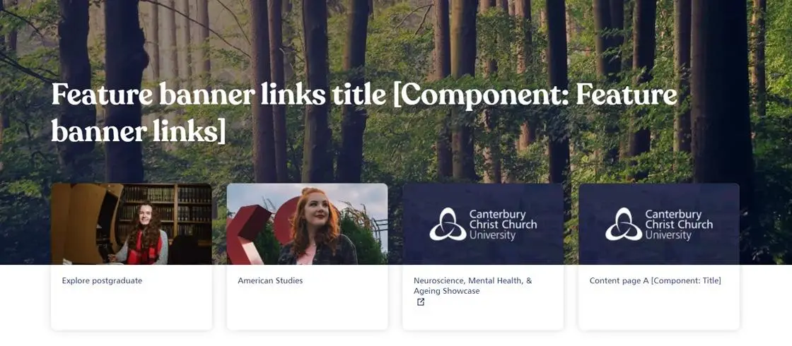 Feature banner links component on the live website