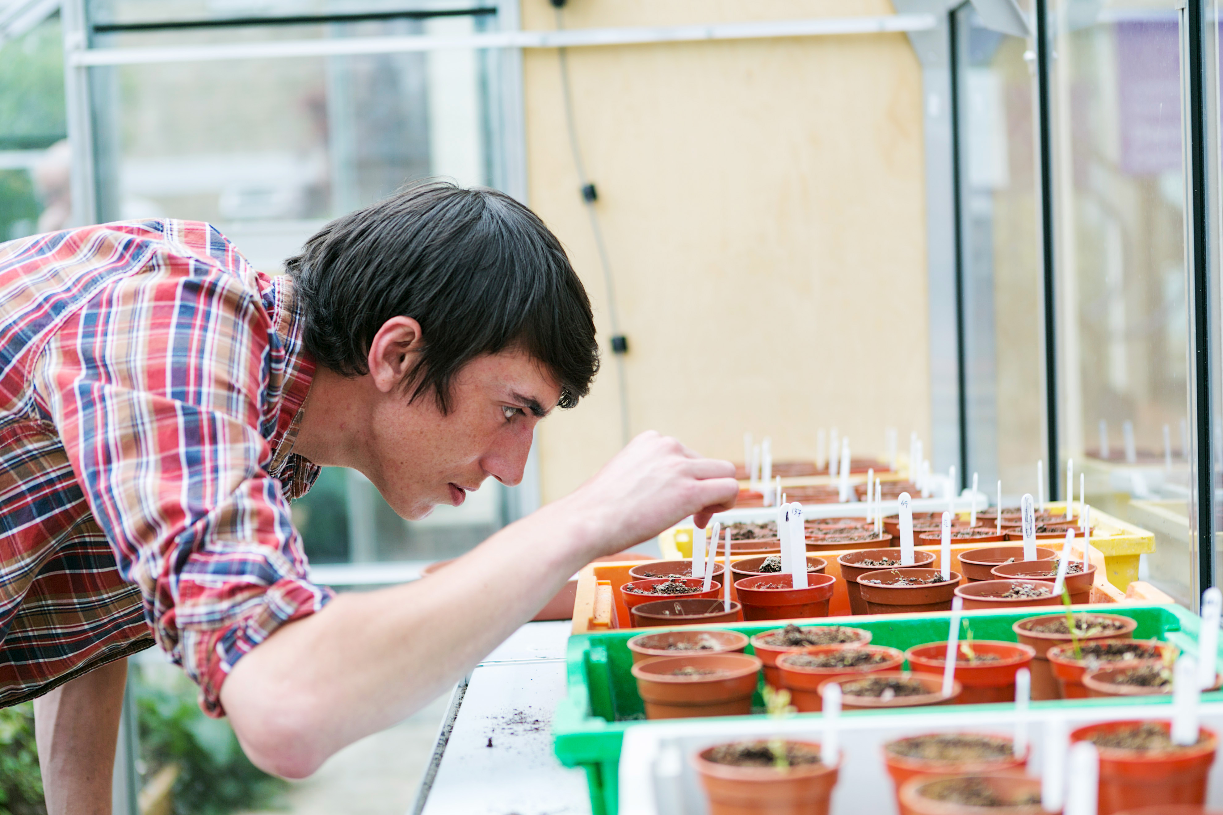 A student studying a row of small plants in pots. 