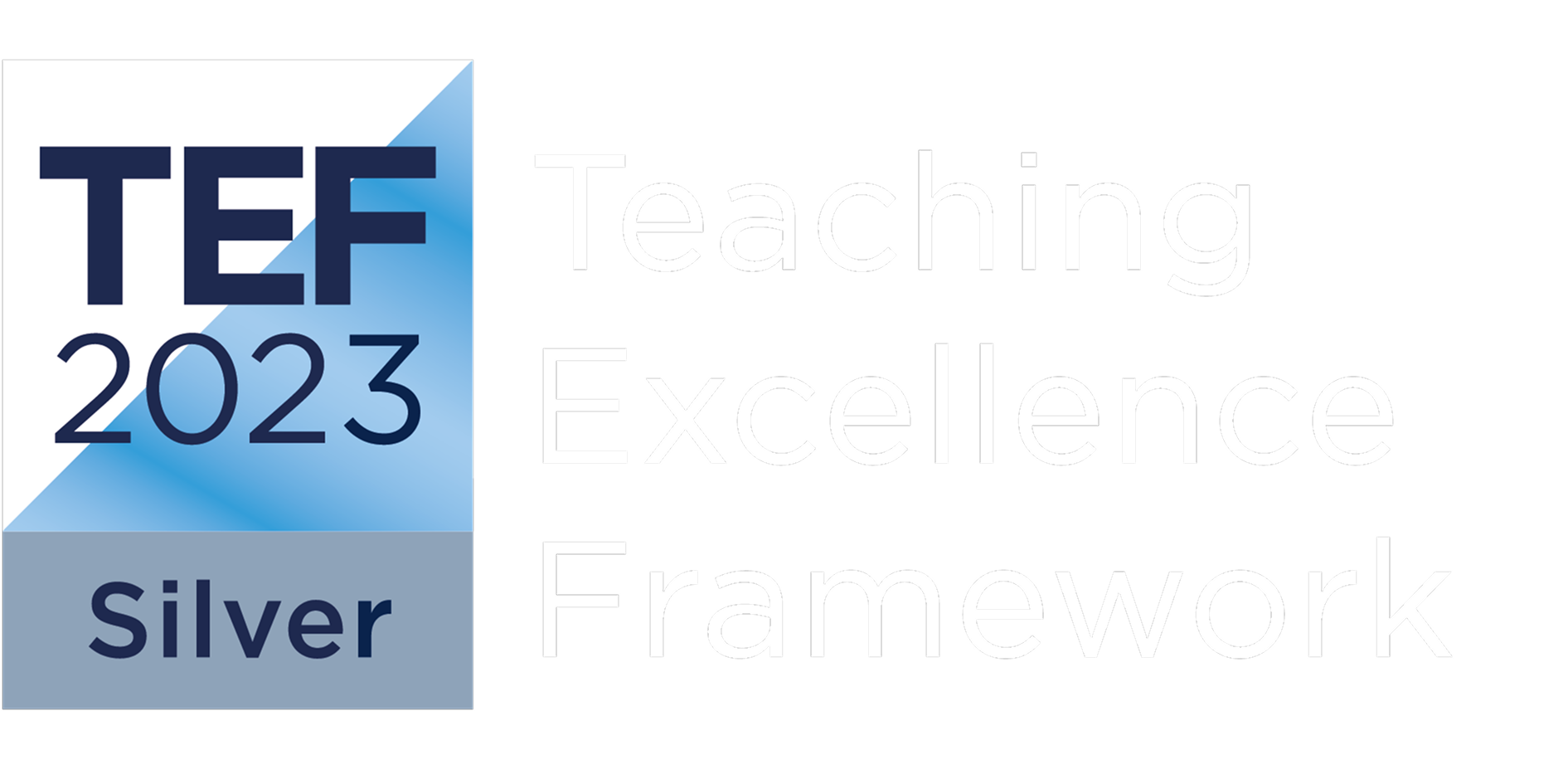 TEF silver logo