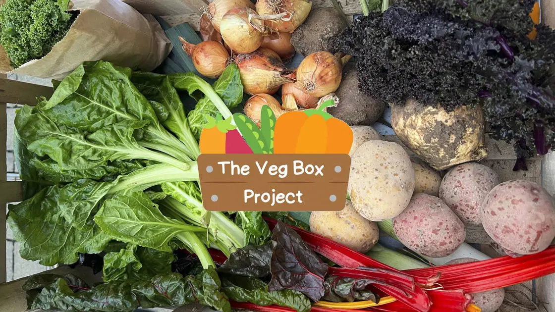 The VegBox Project