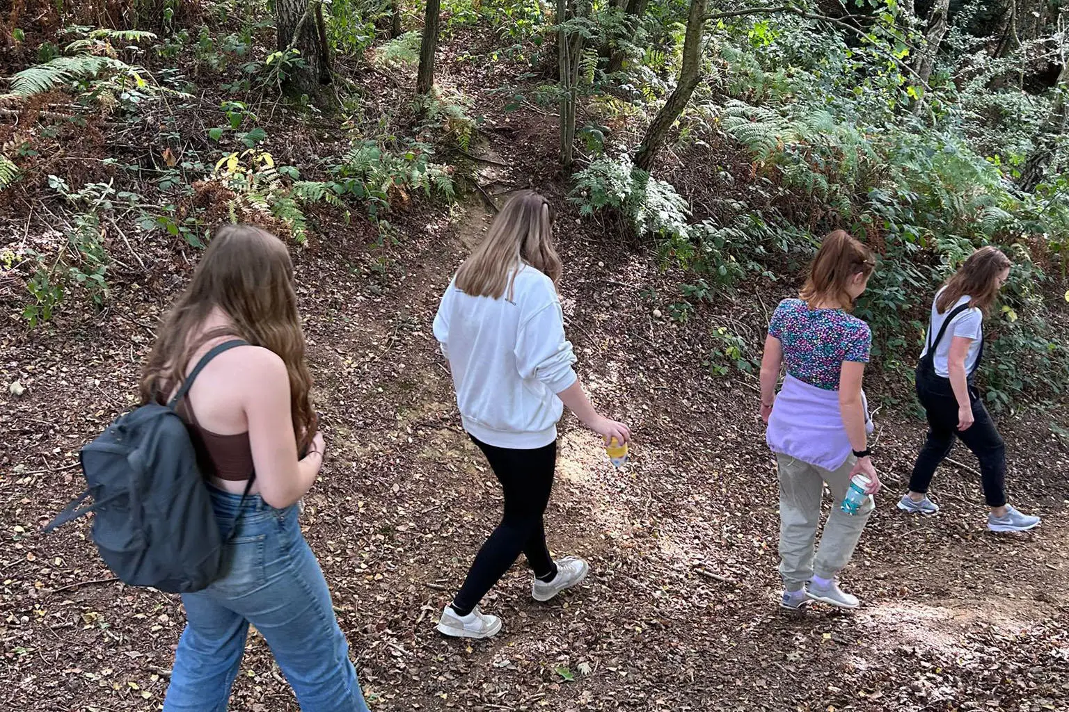 Staff and students walking along a woodland pathway in leafy surrounds
