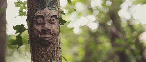 Image of face carved into a tree