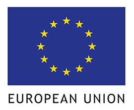 EU flag adapt